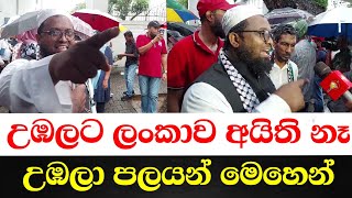 උඹලට ලංකාව අයිති නෑ උඹලා පලයන් මෙහෙන් [upl. by Davey]