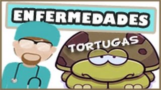 Enfermedades más comunes en tortugas de aguasemiacuáticas [upl. by Kinimod]