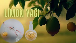 LİMON KABUĞUNDAN ESANSİYEL YAĞ NASIL ÜRETİLİR Lemon Essential Oil [upl. by Carolan932]