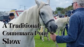 A Traditional Connemara Pony Show [upl. by Airamanna]