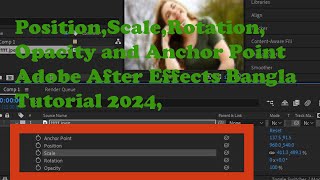 Position Scale Rotation Opacity and Anchor Point Adobe After Effects Bangla Tutorial 2024 [upl. by Ij]