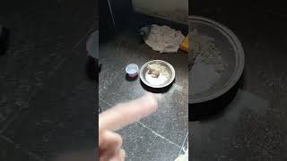 Ghar aaya kabootartrending minivlog  viral shorts  viral vlogs  viral videos [upl. by Ardnosal]