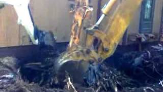 Tree Grubbing amp Stump Removal  Backhoe meets Residential Roots  Hood Excavation  Iowa [upl. by Ajaj]