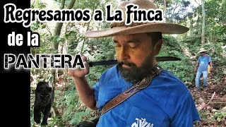 Regresamos a La Finca de La Pantera [upl. by Charlot]