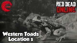 Western Toad Locations rdr2 Online  Red Dead Online Western Toads Location Guide [upl. by Immij803]