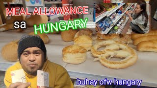 MEAL ALLOWANCE SA COMPANY GINAMIT NAMIN PANGROCERYBUHAY OFW HUNGARY [upl. by Enaitsirk50]