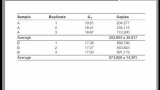 Real Time QPCR Data Analysis Tutorial [upl. by Eniamor]