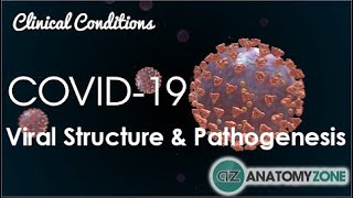 Coronavirus COVID19  Viral Structure amp Pathogenesis [upl. by Fenny]