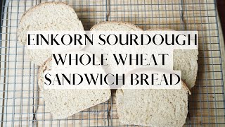 Einkorn Sourdough Sandwich Bread [upl. by Colier]