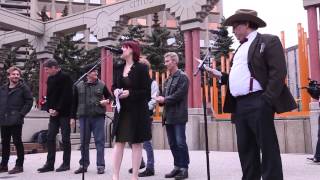 Calgary Expo Parade of Wonders 2014 [upl. by Ahseym356]