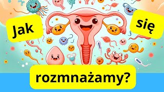 Układ Rozrodczy taki straszny Cykl Menstruacyjny i Budowa Układu Rozrodczego prosto i szybko😮 [upl. by Eelatsyrc]