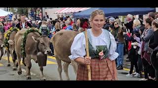 Entlebucher Alpabfahrt 2023 Schüpfheim LU Schweiz [upl. by Westland]