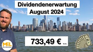 73349 € Bruttodividenden erwarte ich im August Aktiendepot quotNo risk no funquot [upl. by Willamina]