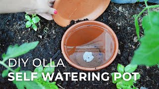 How to make DIY Ollas SelfWatering Systems for Plants [upl. by Halona]