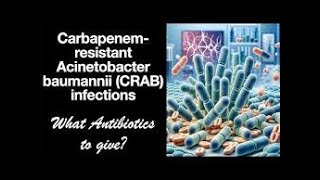 Antibiotic Selection  Part V Treatment of Carbapenemresistant Acinetobacter baumannii [upl. by Hoffarth]