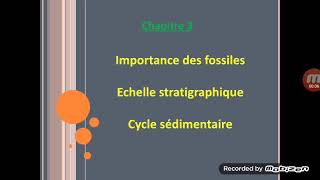 Fossiles et fossilisation 1AC [upl. by Fagen]