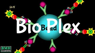 Bio Plex Assay  Bio Plex Technology  Magnetic BeadBased Assays  Multiplex Assay [upl. by Richmal135]