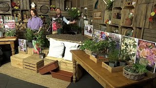 You Garden Live Shopping  Wednesday 7th February 1000 [upl. by Ibed]