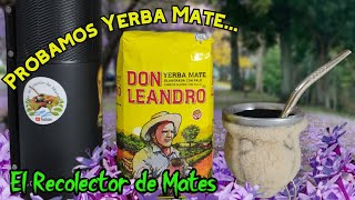 Probando Yerba mate Don Leandro [upl. by Rettke]