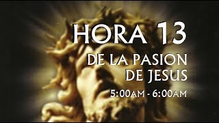 13 de 24 I Horas de la Pasión de Jesús Luisa Piccarreta Divina Voluntad [upl. by Collbaith]