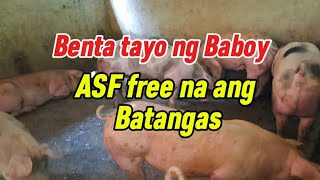 MAGBENTA TAYO NG BABOY ASF FREE NA BABAWI TAYO MAHALIN ANG MGA ALAGA NATIN [upl. by Auqenwahs199]