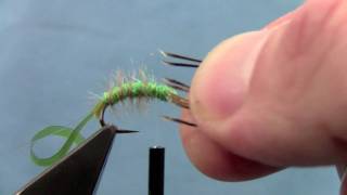 Tying with Hans Hydropsyche Caddis Larvae [upl. by Rebmeced705]