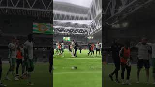 hammarby bajen football soccer [upl. by Seessel]