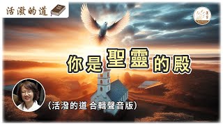 【活潑的道】合輯聲音版 CC字幕 20092024 你是聖靈的殿 活潑的道 因著信 真理 耶和華 亮光 恩惠 保障 信心 跟從主 捨己 大賞賜 聖靈的殿 榮耀神 [upl. by Camella]