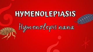 Hymenolepiasis  Hymenolepis nana [upl. by Ecinnej]