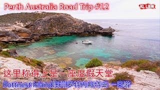 Perth Australia Road Trip 12 澳大利亚 Perth 自驾游 Rottnest Island 澳洲罗特内斯特岛一日游，这里撑得上是一座渡假天堂 [upl. by Enoyrt]