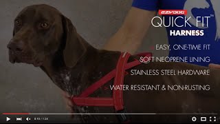 How to Fit Your Dogs Harness  EzyDog QuickFit Harness [upl. by Lon]