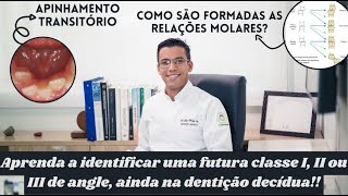 Como acontece e em qual momento do dia a erupção dos dentes decíduos  Aula 11 [upl. by Schmidt]