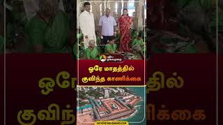 ஒரே மாதத்தில் குவிந்த காணிக்கை  thiruchendur  hundi  shorts [upl. by Kerwinn]