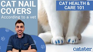 Everything you need to know about cat nail caps [upl. by Croft]