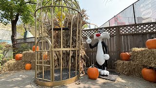 Six Flags Great America Vlog September 8th 2024  The Preparations Of Fright FestKick The Ball [upl. by Madanhoj]