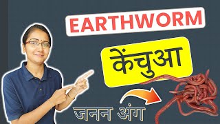 जिंदा केंचुआ  Alive Earthworm  Biology Practical [upl. by Sergu]