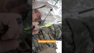 NEW Episode This Weekend bowhunting eastmanselevated [upl. by An453]