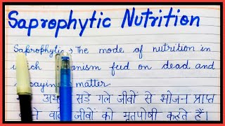 What is Saprophytic Nutrition  Definition of saprophytic nutrition  Saprophytic nutrition kya hai [upl. by Idoc330]