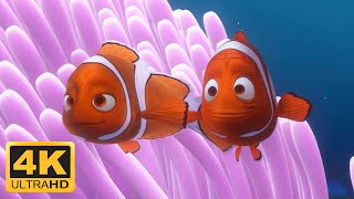 Finding Nemo 2003 Nemos First Day at School Nemo goes to School Remastered 4K 60FPS [upl. by Yve]