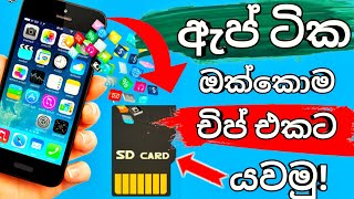 HOW TO MOVE ALL APPS TO MEMORY CARD SINHALA  ඔක්කොම ඇප් චිප් එකට යන්න හදමු  panda tech  trending [upl. by Miculek]