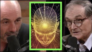 Joe Rogan  Mathematician on Trying to Measure Consciousness [upl. by Idette]