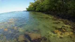 Awesome Surf Fishing Kauai Hawaii [upl. by Weismann109]