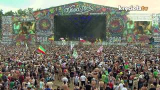 Tabu – Fiz – 20 Przystanek Woodstock 2014 [upl. by Nadirehs]