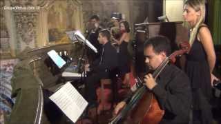 Wedding Processional Songs Instrumental  Spring Vivaldi  Violin [upl. by Rebme427]