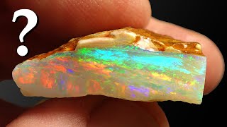 Whatever Happened to The Wikipedia OPAL [upl. by Nilpik]