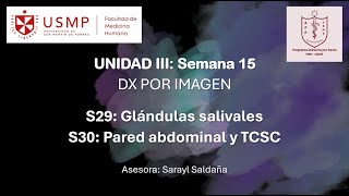 Diagnóstico por Imagen – Sesión 15 – Sarayl Saldaña – 20241 [upl. by Shien]