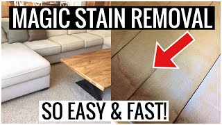 How to REMOVE STAINS and PEE on Couch and Mattress So Easy You Have to Try This  Andrea Jean [upl. by Kosse]