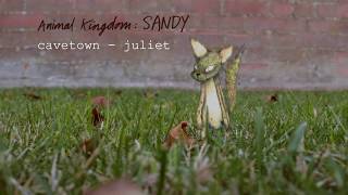 Juliet by Cavetown Official Audio  Animal Kingdom [upl. by Ellata]