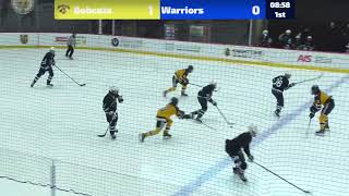 Bobcats Elite 18U vs Las Vegas Ice Warriors [upl. by Tioneb947]