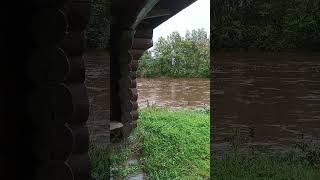 Urban river Steinkjer Norway mud from digging work [upl. by Kotto]